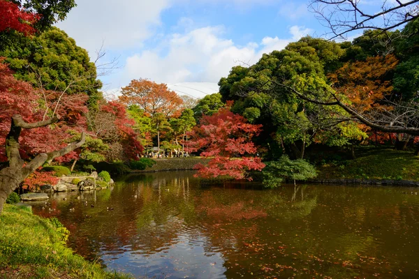 Koishikawa Korakuen Garden in Autumn in Tokyo — Stock Photo, Image