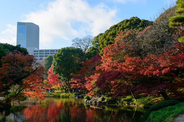 Koishikawa korakuen κήπος το φθινόπωρο στο Τόκιο — Φωτογραφία Αρχείου