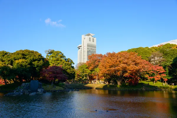 Giardino Koishikawa Korakuen in autunno a Tokyo — Foto Stock