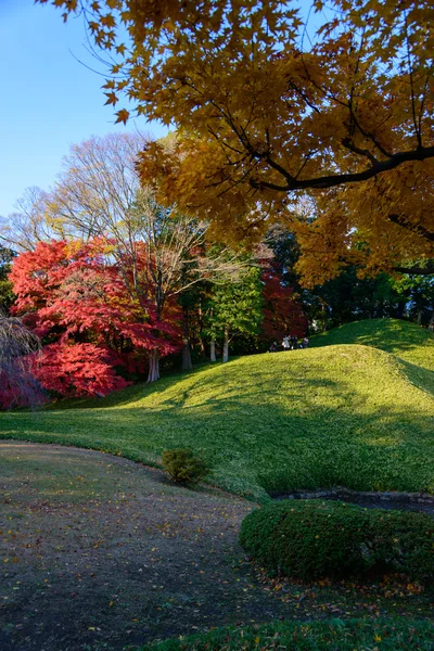 Koishikawa korakuen trädgård i höst i tokyo — Stockfoto