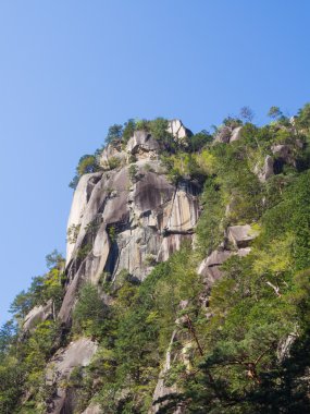 Shosenkyo Gorge taze yeşil renkle Kofu, Yamanashi, Japan