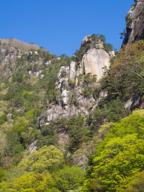 Shosenkyo Gorge taze yeşil renkle Kofu, Yamanashi, Japan