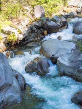 Shosenkyo Gorge taze yeşil renkle Kofu, Yamanashi, Japan