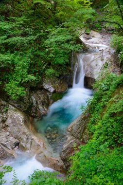 nishizawa vadi içinde: yamanashi, japan