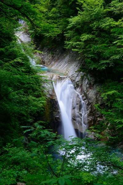 Nishizawa vallei in yamanashi, japan — Stockfoto