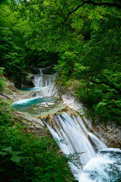 Nishizawa Valley in Yamanashi, Japan — Stock Photo, Image