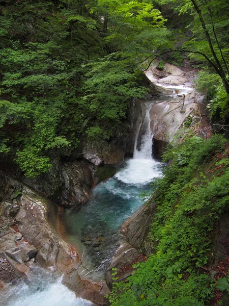 Nishizawa Долина тяжко, Японія — стокове фото