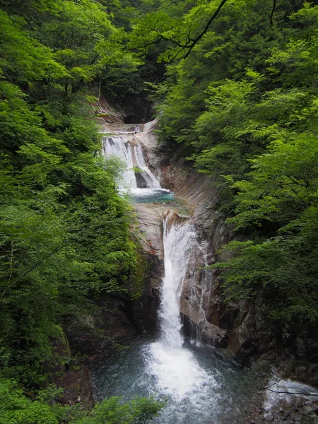 Nishizawa Valley in Yamanashi, Japan — Stock Photo, Image