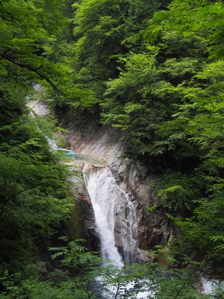 Nishizawa vallei in yamanashi, japan — Stockfoto