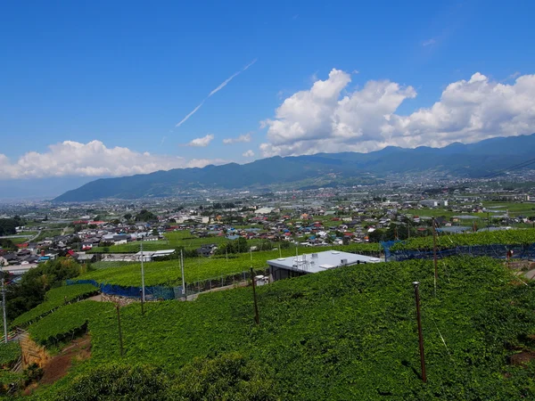 Paesaggio del bacino di Kofu a Yamanashi, Giappone — Foto Stock