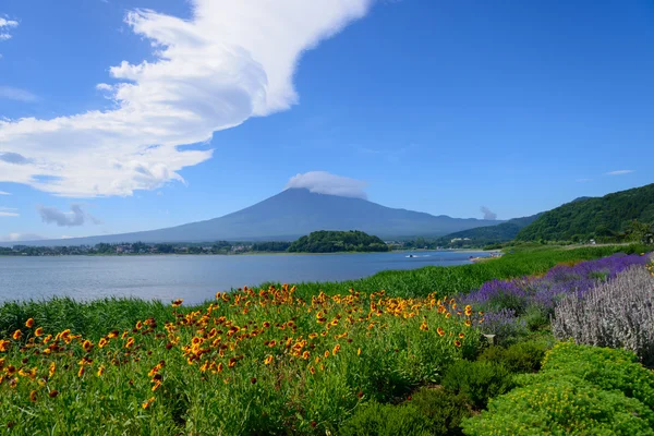 Mt. Fuji and Lavender at Lakeside of Kawaguchi — Stock Photo, Image