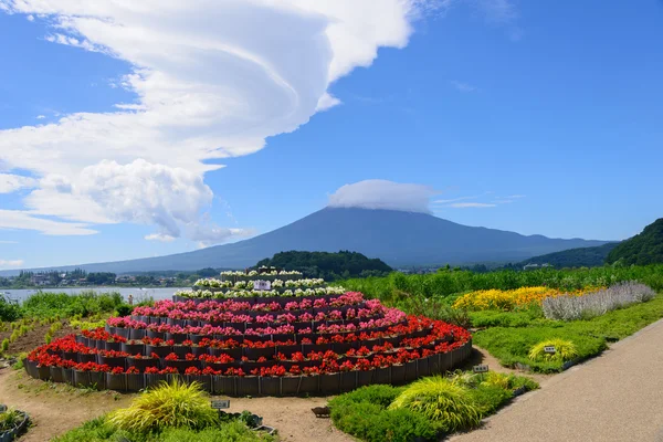 Mt. Parque Fuji y Oishi — Foto de Stock