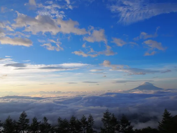 Wolkenmeer und das Mt. fuji — Stockfoto