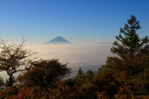 Mt.Fuji and Sea of clouds in the early morning — Stock Photo, Image