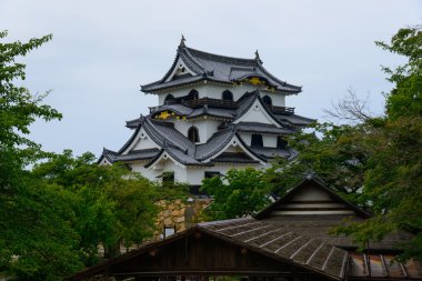Hikone kale içinde shiga, japan