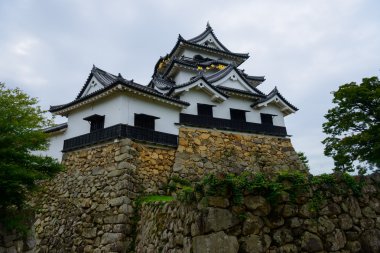Hikone kale içinde shiga, japan