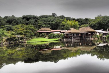 Hikone kale içinde shiga, japan