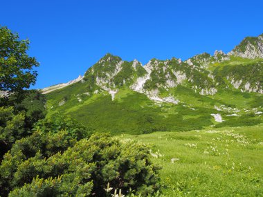 senjojiki cirque nagano içinde mount kisokoma Japonya