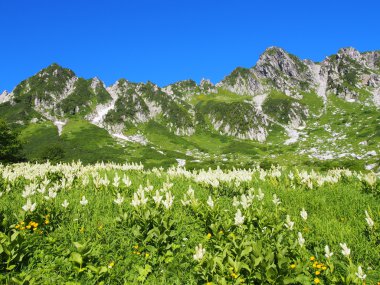 senjojiki cirque nagano içinde mount kisokoma Japonya