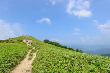 fujimidai Yaylası nagano ve gifu, Japonya