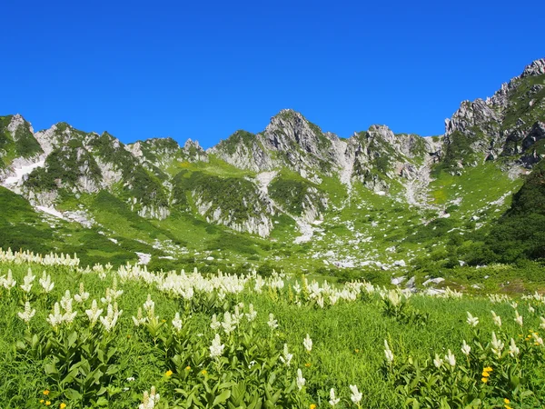 Senjojiki 太阳剧团在装载 kisokoma 在长野县，日本 — 图库照片