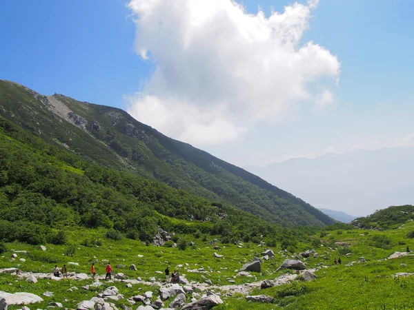 Senjojiki 太阳剧团在装载 kisokoma 在长野县，日本 — 图库照片