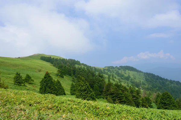 Fujimidai Highland em Nagano e Gifu, Japão — Fotografia de Stock