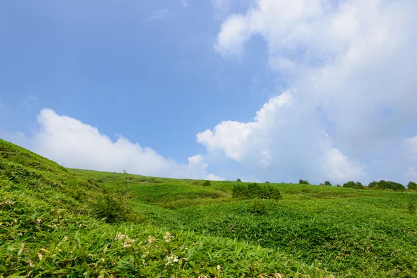 Fujimidai Highland in Nagano and Gifu, Japan — Stock Photo, Image