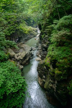 Agatsuma Valley in Gunma, Japan clipart