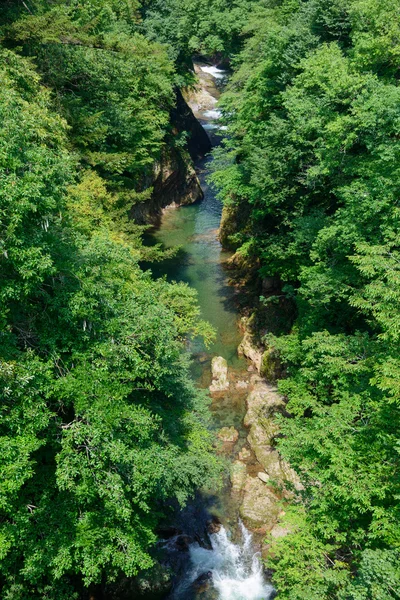 Fukiware Falls di Gunma, Jepang — Stok Foto