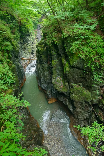 Agatsuma údolí v gunma, Japonsko — Stock fotografie