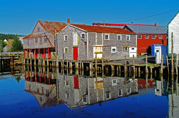 De loodsen van de vis — Stockfoto