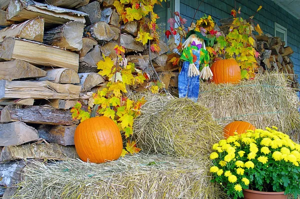 Fall Decorations — Stock Photo, Image