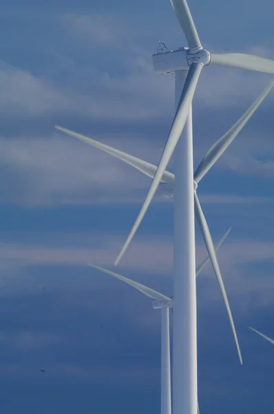 Tre vindkraftverk — Stockfoto