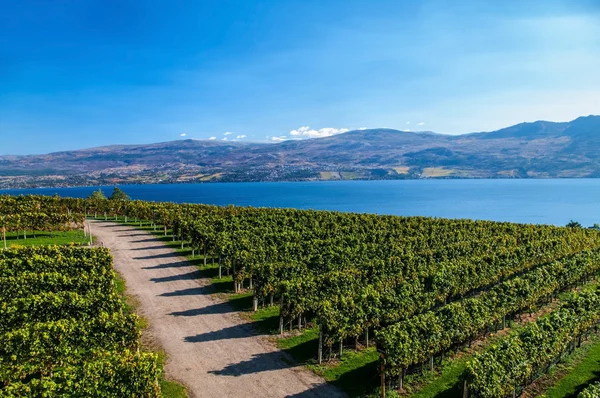 Vista de Mission Hill Winery — Fotografia de Stock