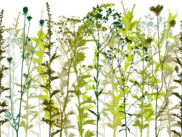 Natuurlijke wilde planten en onkruid silhouetten instellen. — Stockvector