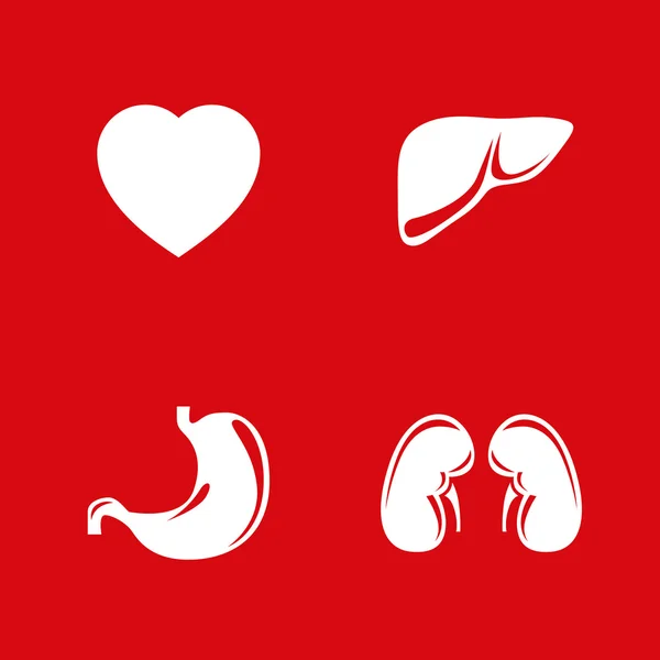 Conjunto de ícones vetoriais de órgãos internos humanos. —  Vetores de Stock