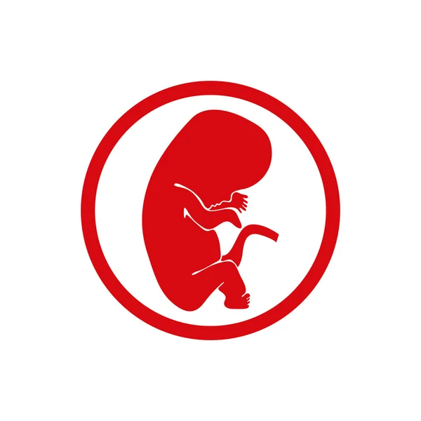 Icona del vettore fetale isolata. — Vettoriale Stock