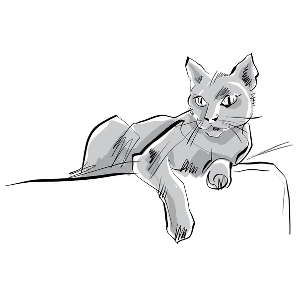 Gato dibujado a mano de color, gato gris ilustrado. — Archivo Imágenes Vectoriales