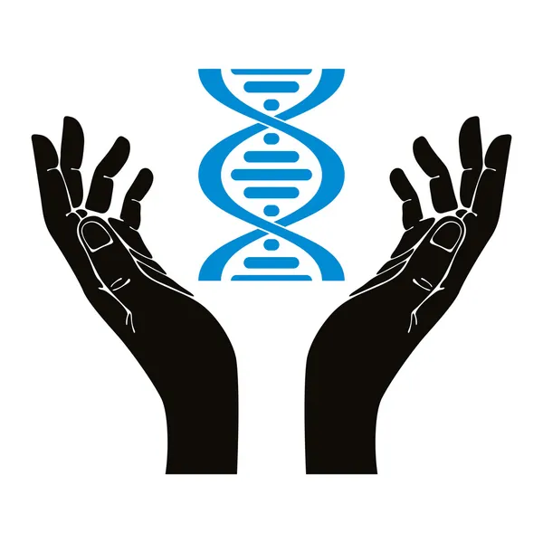 Händerna håller DNA-strängen vektor symbol. — Stock vektor