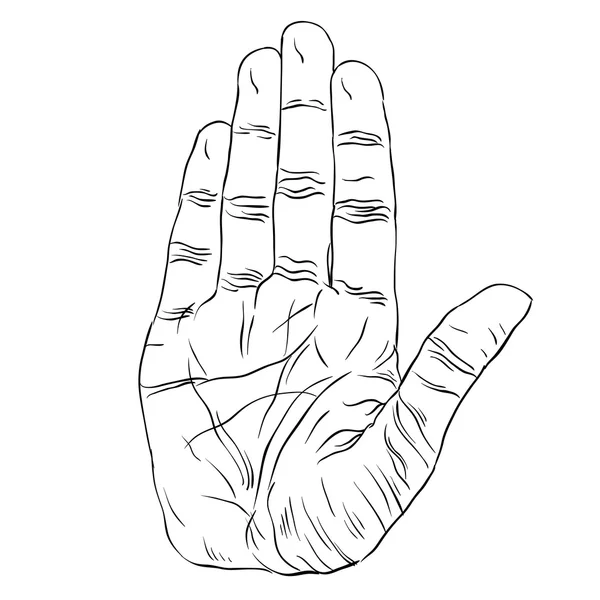 Stop hand teken, gedetailleerde zwarte en witte lijnen vector illustrati — Stockvector