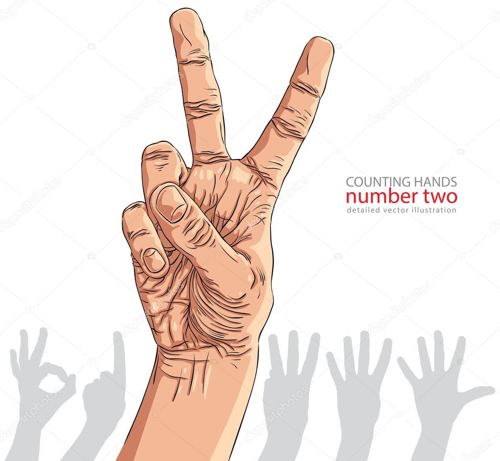 Numbers hand signs set, number two, detailed vector illustration