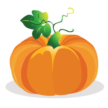 Balkabağı vektör illüstrasyonu.