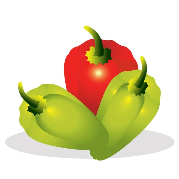 Sweet pepper vector illustration. — Stock Vector