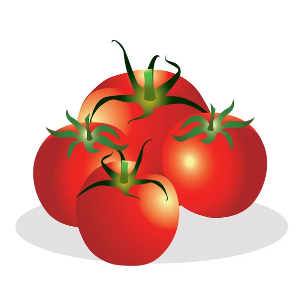 Tomaten Gruppe Vektor Illustration. — Stockvektor