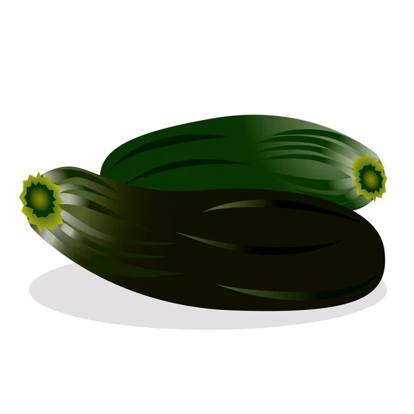 Illustrazione vettoriale di zucchine . — Vettoriale Stock