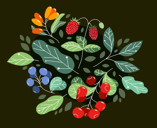 Wild Berries Fresh Ripe Tasty Healthy Food Leaves Vector Flat — Stock Vector