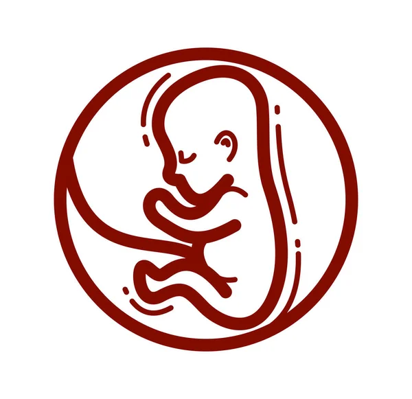 Humant Foster Embryo Livmoder Ofödda Barn Vektor Linjär Ikon Isolerad — Stock vektor