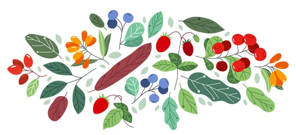 Fruits Sauvages Frais Mûrs Savoureux Aliments Sains Avec Des Feuilles — Image vectorielle