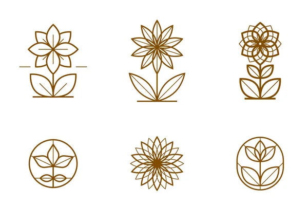 美しい幾何学的な花のロゴベクトル線形デザインセット 神聖な幾何学線画のエンブレムやシンボルコレクション 花のホテルやブティックや宝石のロゴタイプを開花 — ストックベクタ